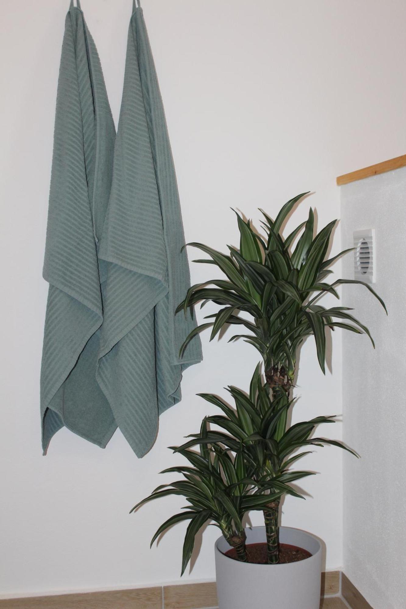 Ferienwohnung Feldblick Struppen Ngoại thất bức ảnh